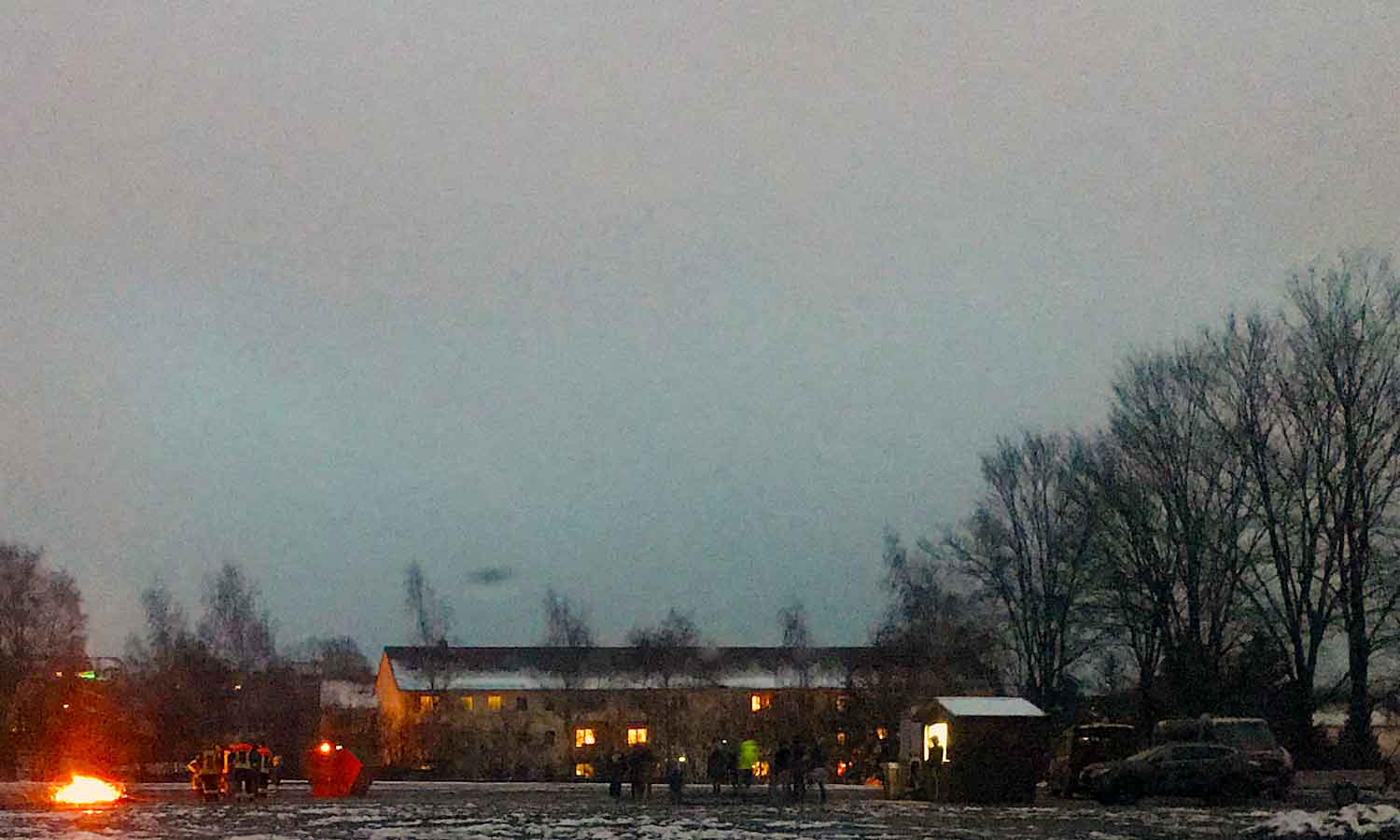 Kein Weihnachtsbaum hat es verdient, so jämmerlich das irdische Leben zu beenden