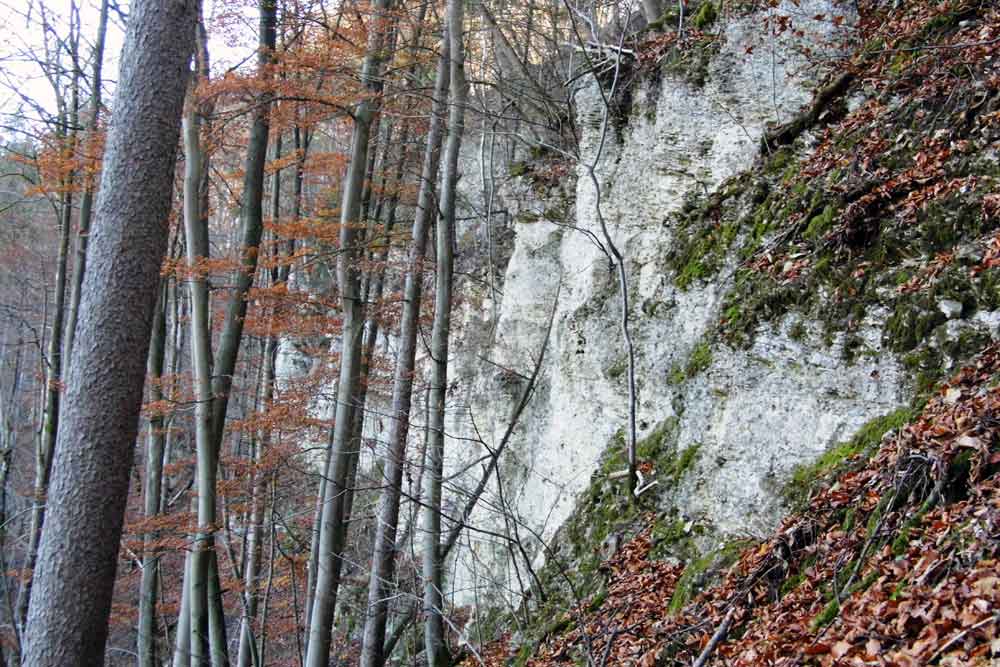 Der versteckte Felsen – eine besondere geologische Kostbarkeit