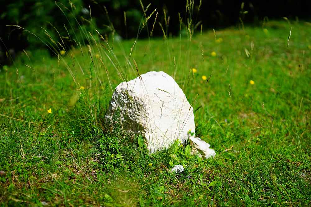 Picknicktreff der Feldgeschworenen