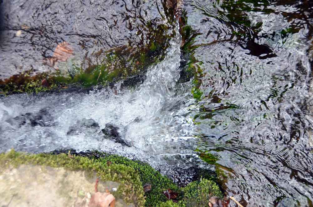 GEOTOP-Burkhardtsquelle-bei-Henfstaedt-Foto-R-Werneburg