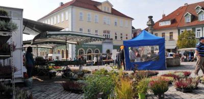 Herbstmarkt-Eisfeld