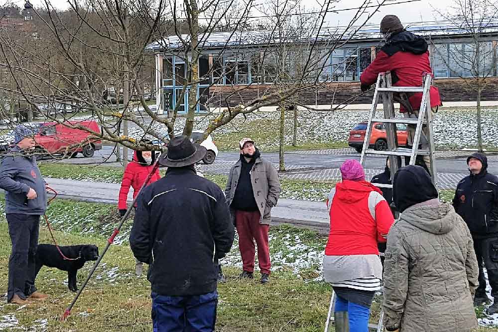 Baumschnittkurs im Internatsdorf Haubinda