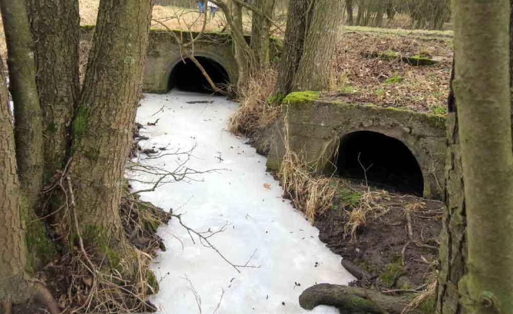 Ökologische Durchgängigkeit des Saarbachs wird verbessert