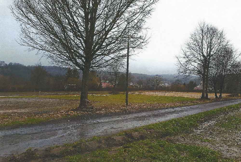 Naturfrevel am Schleusinger Reitplatz