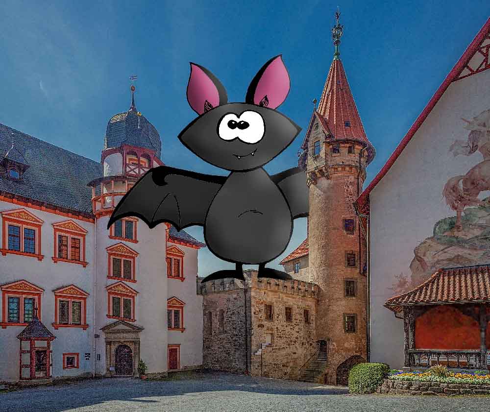 Von Fledermäusen und Sprichwörtern im Museum