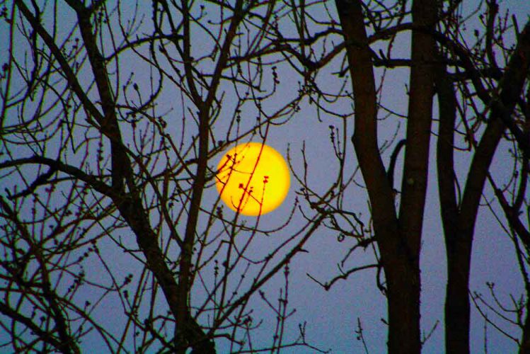 Gute-Nacht-Corona