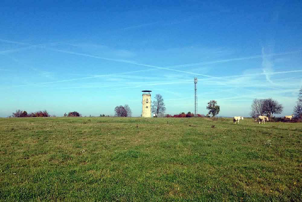 Gedanken zur Entwicklung des Stadtberges von Hildburghausen