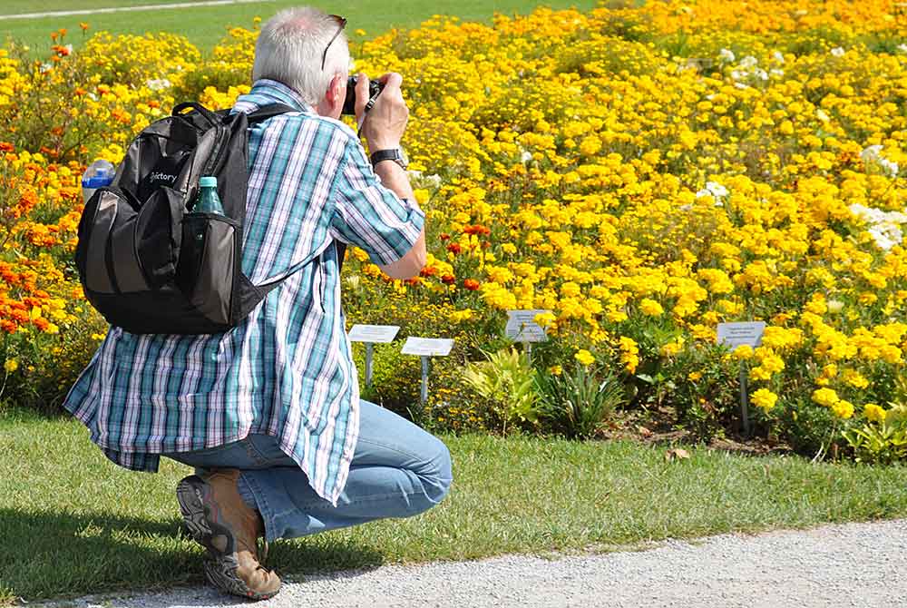 Leserbrief zu einer möglichen Gartenschau in Hildburghausen