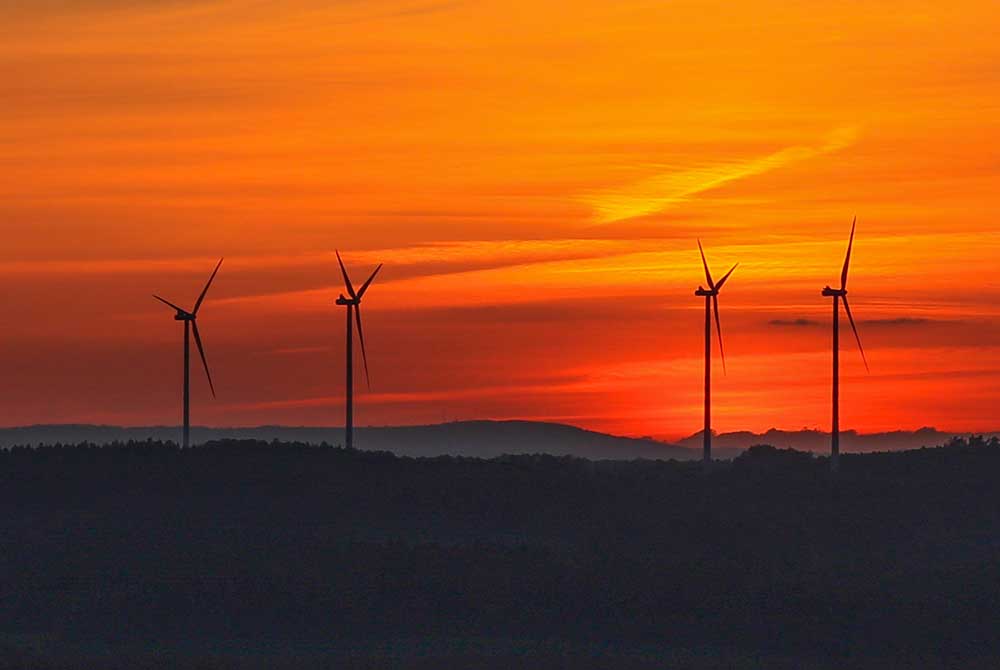 Windkraftausbau im Wald gestoppt