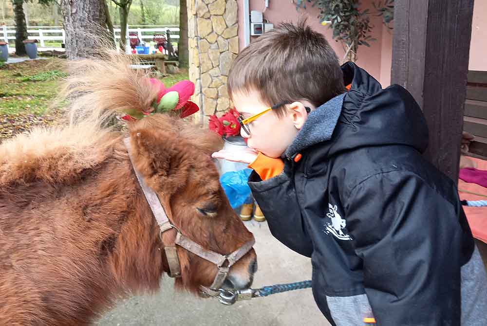 Pferde helfen Kindern