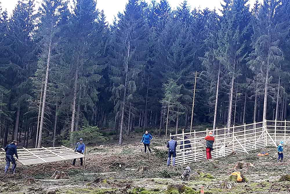 Arbeitseinsatz im Stadtwald Hildburghausen