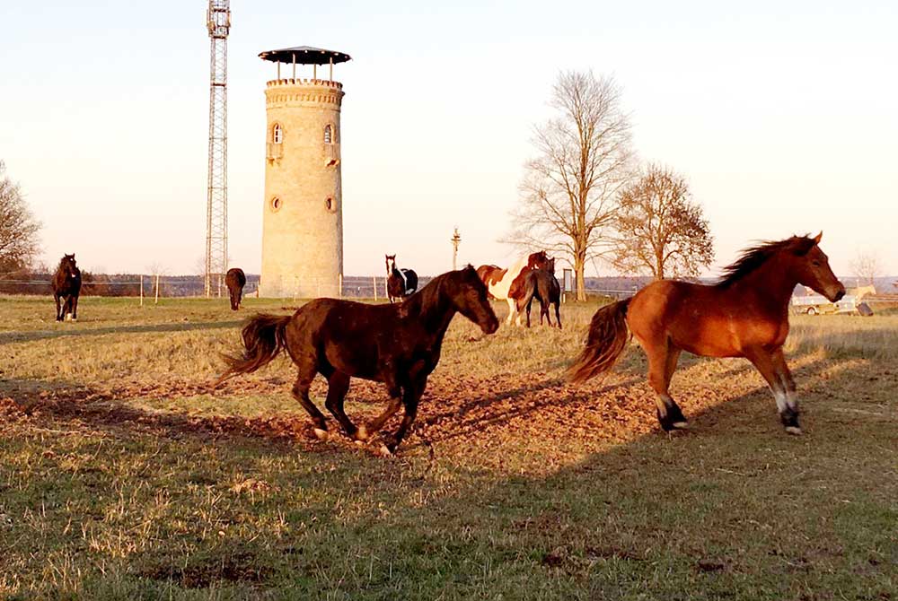 Soll diese Idylle bald vorbei sein?