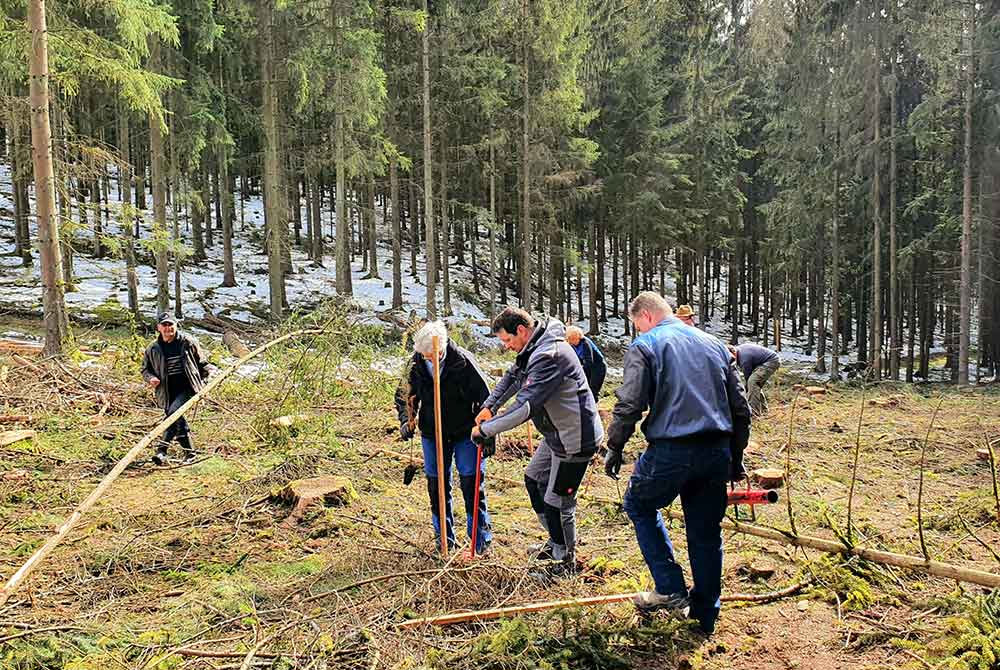 Bäume pflanzen im Teamwork