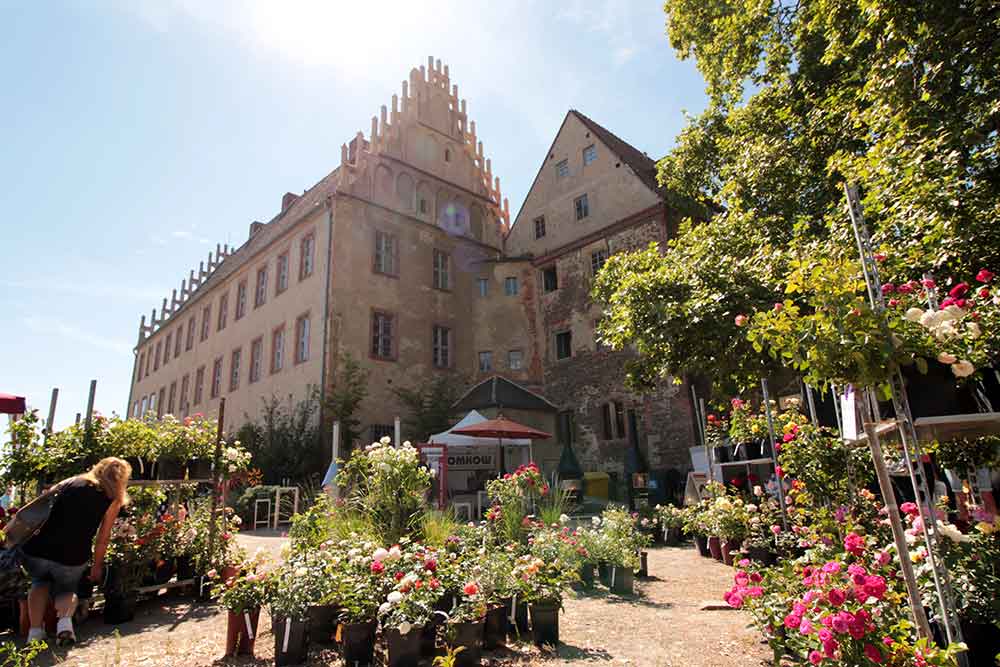 „Markt im Park 2021“: Grüner Wochenmarkt ab sofort bis 19. Juni 2021 in der Burg Ohrdruf